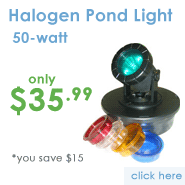 Halogen Pond Light