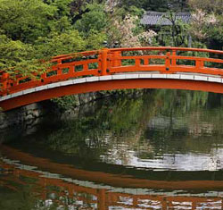 Pond Bridges