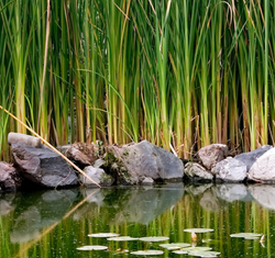 Farm pond liners